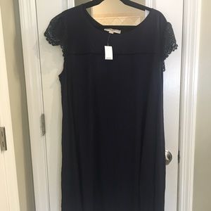 Loft Navy Swing Dress with lace cap sleeve